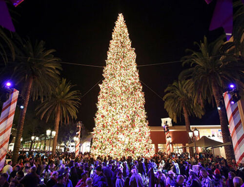 Holiday Tree Lighting at Fashion Island