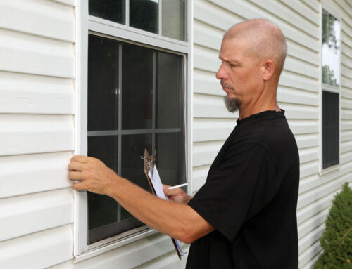 Buyers and Sellers: What to expect from a pest inspection?